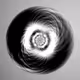 Photon's Dream X-rays by Harvey Rayner | patterndotco