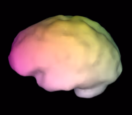 Spectral Brains