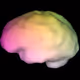 Spectral Brains