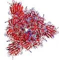 SARS CoV2 Proteins
