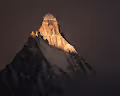 Himalayan Gold