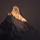 Himalayan Gold
