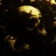 _NotACK_ 1/1s