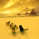 Golden Snow