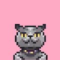 cat pixels