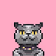 cat pixels