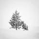 Lost in White