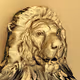 100 Lions