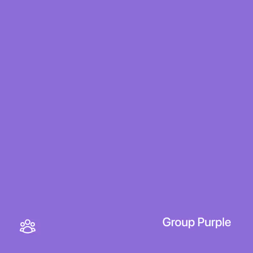 Original Group Purple