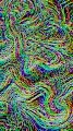 Distorted Frames
