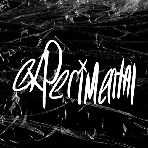 EXPERIMENTAL