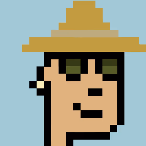 Worldwide Cryptopunk Collection