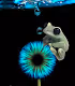 GalacticEyeNfts
