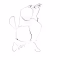 S-Cat Series