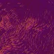 Flow Fields Collection