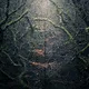 The Unknown - by Neil Burnell