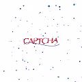 The CAPTCHAs