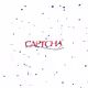 The CAPTCHAs