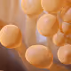Feet - 6bZmwPY8G7