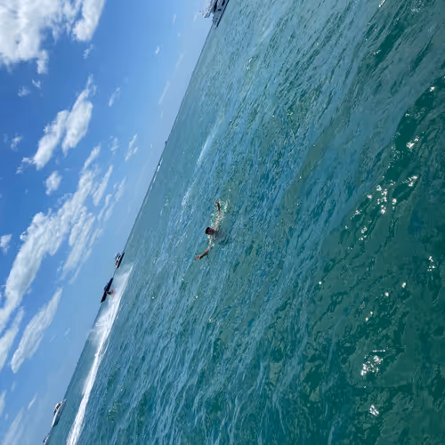 Just pics of my life