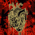 Ventricles