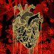 Ventricles