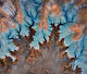 EARTH // The First Generative Art Project