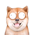 Fcxky_Wowly_Dogy