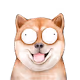 Fcxky_Wowly_Dogy