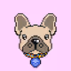 FRENCHIE CREW