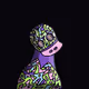 Radipus