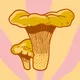 Dirty S3 Chanterelle