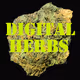 Digital_Herbs - old