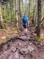 Views of a Mountain Hiker