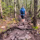 Views of a Mountain Hiker