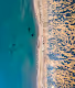 The Treasures of Baja