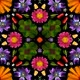 Psychedelic Nature Loops
