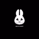 White Rabbit Universe