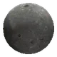 Moonies