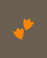 2duck