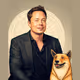Elon AI Trading Cards