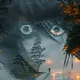 Illusory Dreams