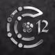 Carbon 12 Impact Dao NFT