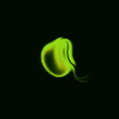 Life an Eternal Gift