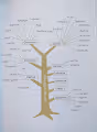 Language Tree