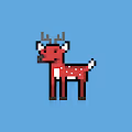 BIG BUCKS