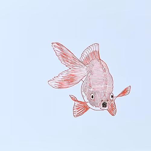 in the Middle Of A Journey