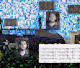Self Surveillance Mosaics