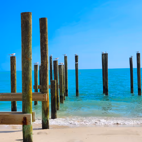 Horizon & Hues Editions