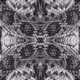 Primordial Mandalas